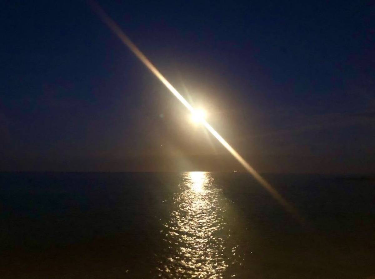 Il profumo della notte: quando l’anima rincorre l’ordine nel caos